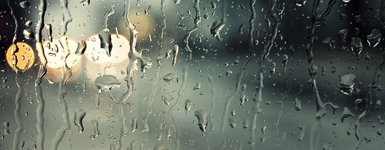 Rain on Window