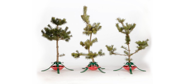 Ugly Christmas Trees