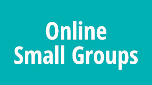 Online Small Groups